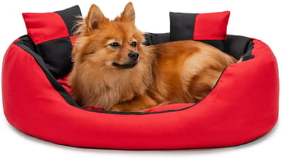 lionto Hondenbed omkeerbaar, waterafstotend & zacht, 65x50 cm rood/zwart