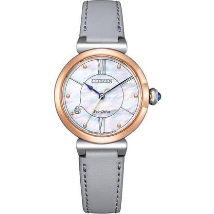 Citizen EM1074-15D Horloge - Leer - Grijs - Ø 29 mm