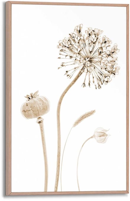 Schilderij Droogbloemen - 30 x 20 - Hout - REINDERS