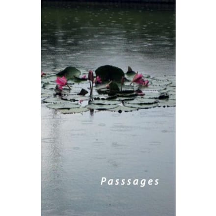 Passages - Gemma Pappot