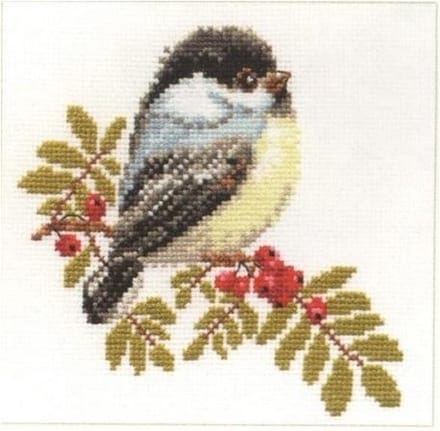 Koolmeesje borduren (pakket)