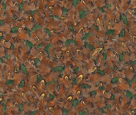 Fazanten veren behang vogel rasch 514728