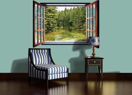 Nature window wallcovering