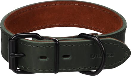 Hond Halsband Montana Groen M / L 39,5-49,5cm 35mm