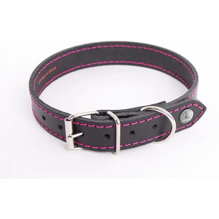 Hondenhalsband Martin Sellier Flash