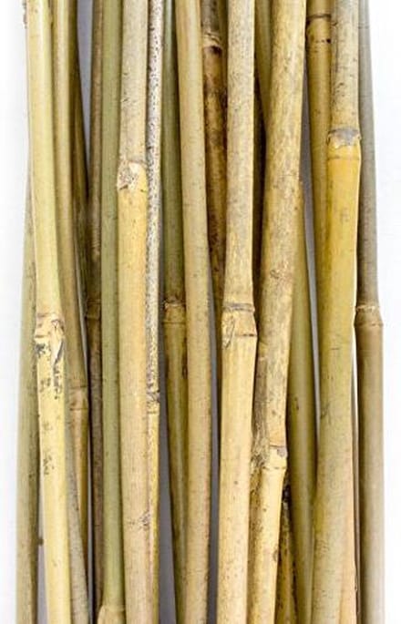 Plant!t Bamboe stokjes 90cm 25 stuks