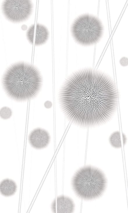 Fotobehang Allium