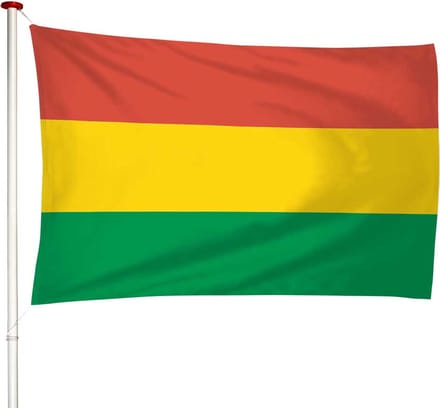 Vlag Carnaval 100x150cm - Carnavalsvlag - Premium kwaliteit - Geschikt voor buiten