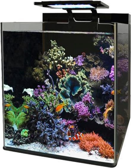 Blue Marine  REEF 60 AQUARIUM
