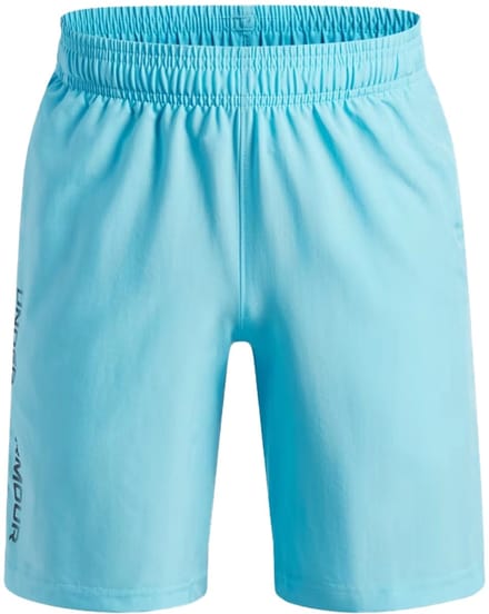 Under armour tech woven wordmark short in de kleur blauw.