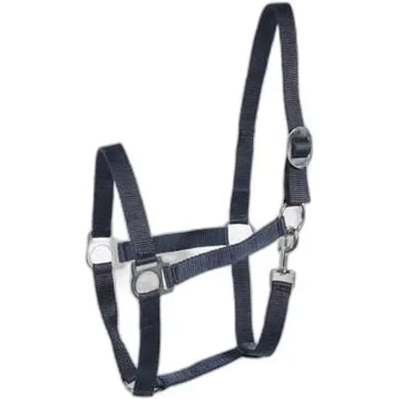 Basis halster voor paarden Horze
