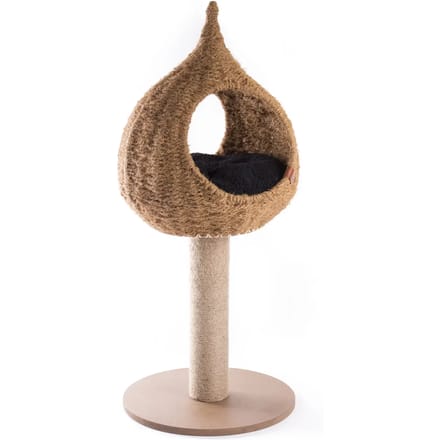 Kattenboom Martin Sellier Goutte balinaise