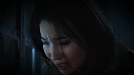 Sony Interactive Entertainment Until Dawn PS4 Standaard PlayStation 4