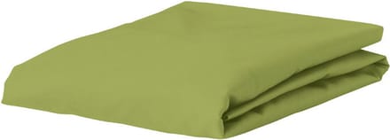 Essenza Premium Percale Hoeslaken Apple Green - 140x190 cm
