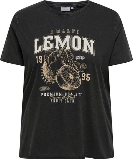 ONLY CARMAKOMA - CARLUCY REG S/S TOP JRS NOOS Dames Blouse