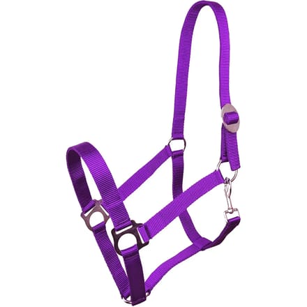 Halster voor paarden York Harmony