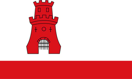 Vlag Rijnsburg 70x100cm