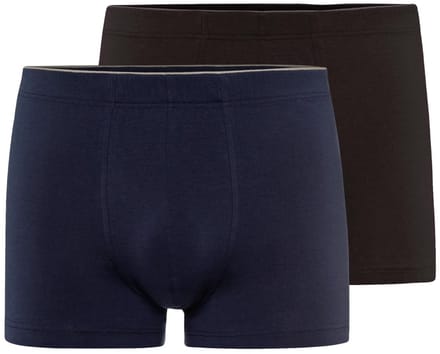 Hanro Heren retro short / pant 2 pack Cotton Superior