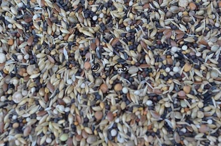 ECS Europese vogels fijn (wildzangzaad) 5kilo