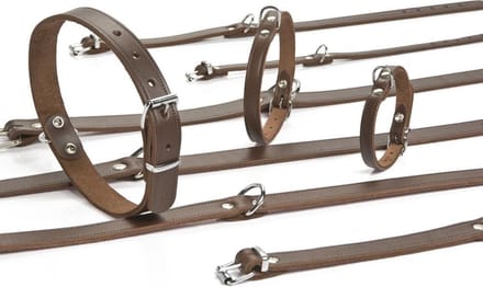 halsband - Bruin 32x10