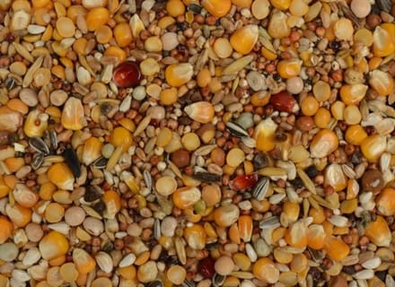 Wielink Voordeelmix 25KG