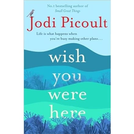 Wish You Were Here - Picoult, Jodi