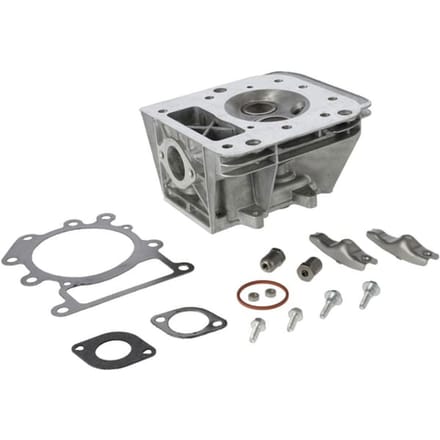 Briggs & stratton cilinderkop