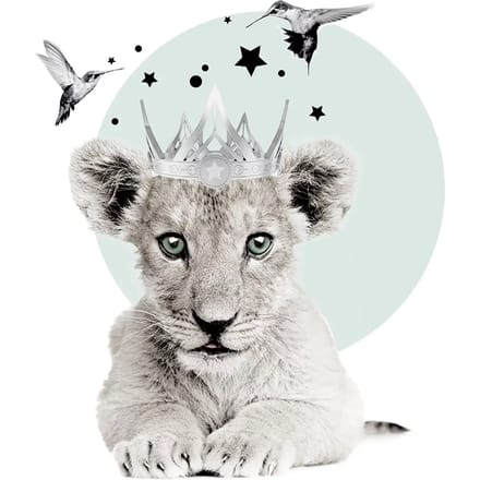 Behang Dekornik Little Lion