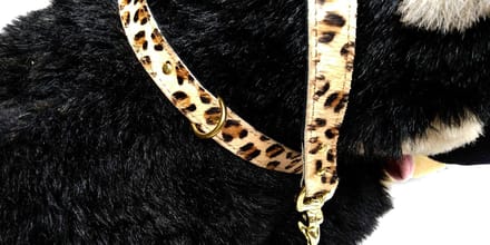 Hetty'S - Stoere set van halsband en riem van echt leer
