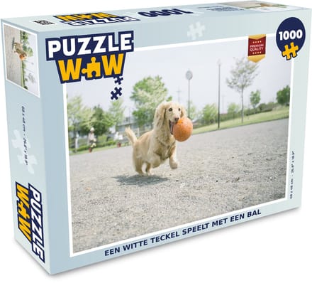 Puzzel Een witte Teckel speelt met een bal - Legpuzzel - Puzzel 1000 stukjes volwassenen