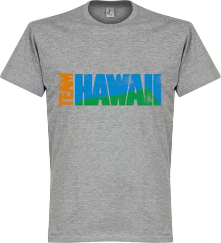 Team Hawaii T-Shirt - Grijs - XL