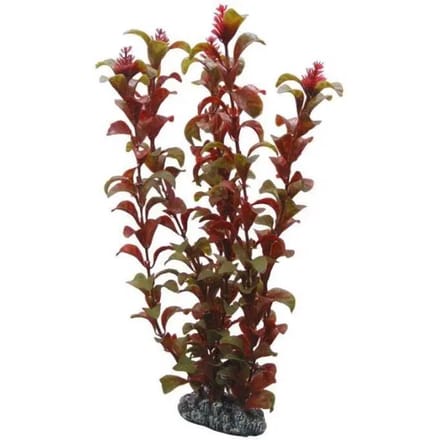 Aquarium decoratie Hobby Rotala