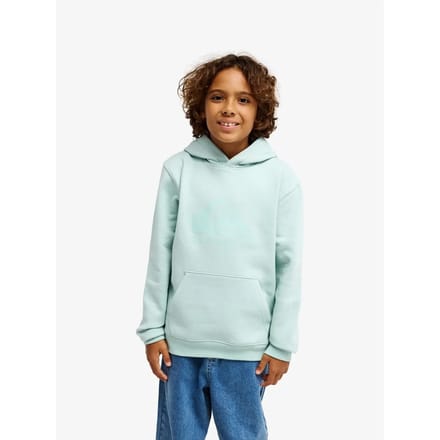 Junior Hoodie Quiksilver Comp Logo