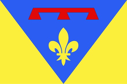 Vlag Var 100x150cm