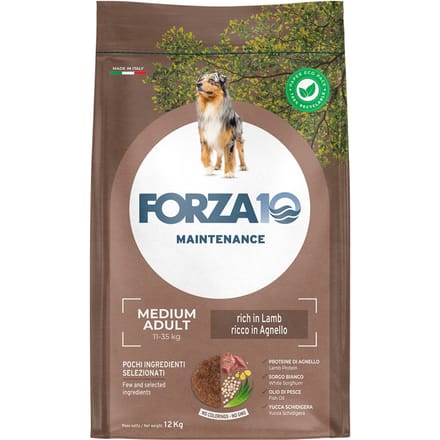 12kg Forza 10 Maintenance Medium Lam & Rijst