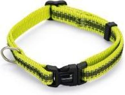 Beeztees nylon halsband Cabo geel 20 - 30 cm x 10 mm