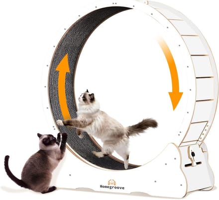 Extra Grote Houten Loopband voor Katten XXL - Stil & Veilig Dierenspeelgoed