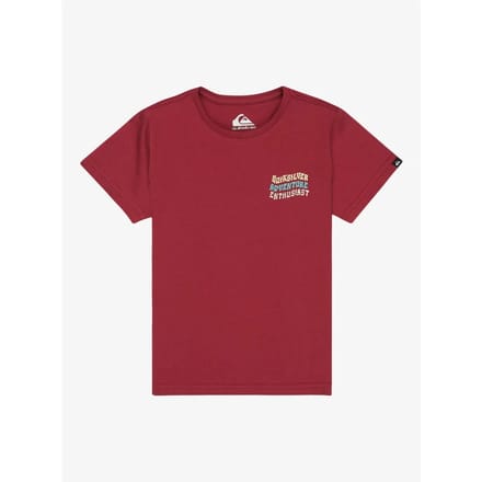 T-shirt kind Quiksilver EV Cosmic Character