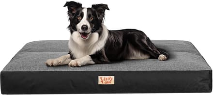 Lizzy & Lola – Hondenbed - Benchkussen - Hondenkussen - Pilly L – 90 x 70 cm - Grey