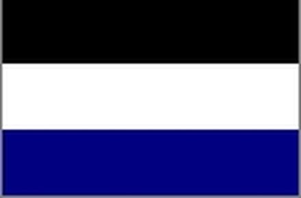 Vlag 's-Gravenbrakel 150x225cm