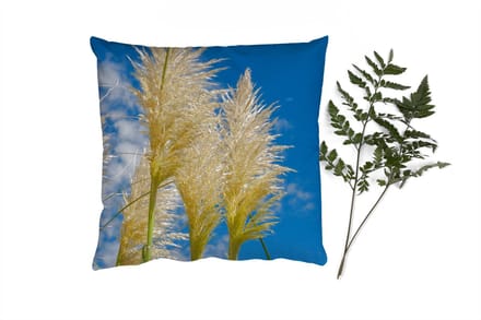 Sierkussens - Kussentjes Woonkamer - 50x50 cm - Planten - Pampasgras - Lucht