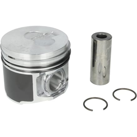 Zuiger MAHLE 009 79 00