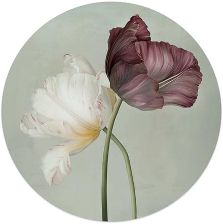 Glasschilderij Tulpen - Ø 50 - Glas - REINDERS