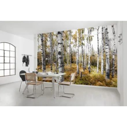 Fotobehang Colorful Aspenwoods - Meerkleurig - 2,80m X 450cm
