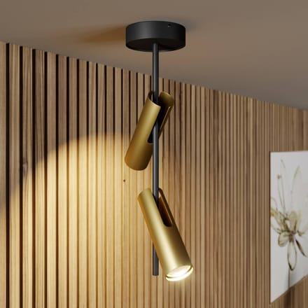 Sigma LEDA 2 Plafondlamp Zwart Goud - Stijlvol en Functioneel