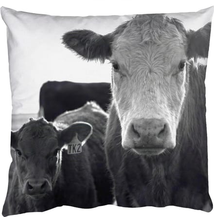 Sierkussens - Kussentjes Woonkamer - 45x45 cm - Koeien - Zwart - Wit