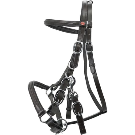 Hoofdstel Kieffer Trail with chrome fittings