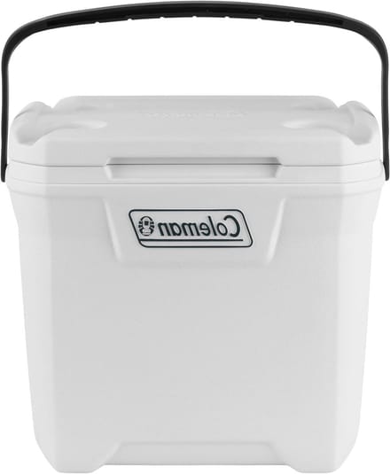 Koelbox - IJsbox Koeltas - Buitenactiviteiten - Houdt ijs 3 dagen - 264 liter - Wit