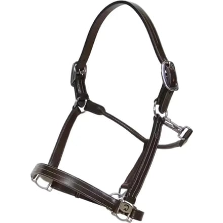 Halsband voor paard met aanpassingen Dy'on US
