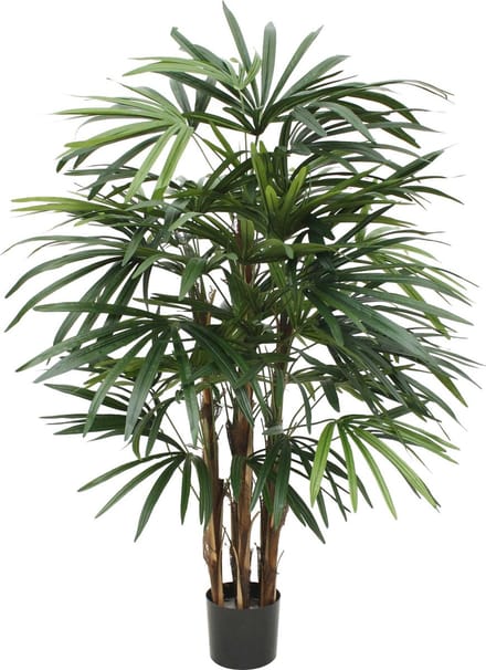 Designplants Raphis Palm Kunstplant